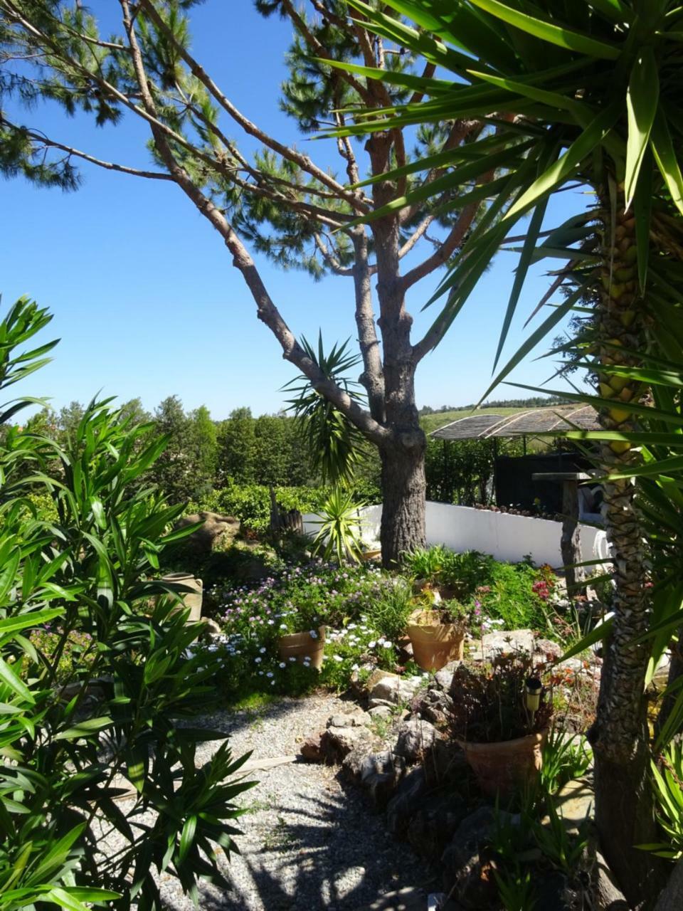 Casa Vale Del Rei Hotel ตาวิรา ภายนอก รูปภาพ